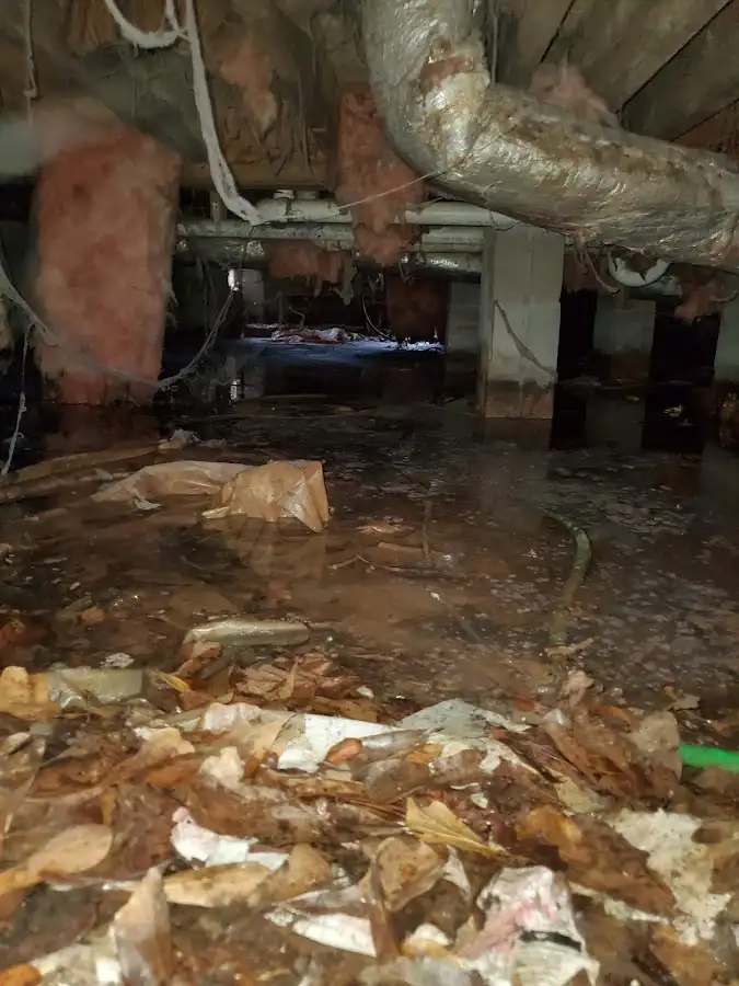 Crawl space flood assessment for Commercial Water Damage Restoration in Chapel Hill